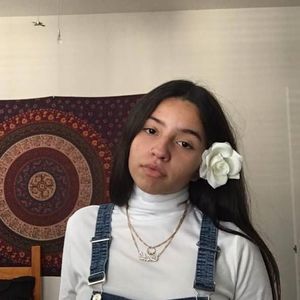 Meet your Posher, Lexis